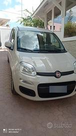 Fiat Panda 3ª serie 1.2 Benzina - 2016 - 50.000 km