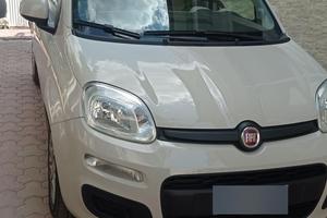 Fiat Panda 3ª serie 1.2 Benzina - 2016 - 50.000 km