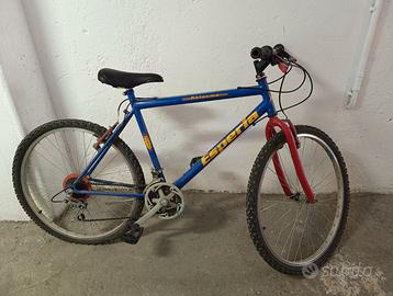 Bicicletta mountain bike