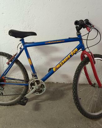 Bicicletta mountain bike