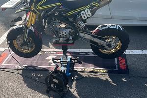 Pitbike Ayrton Viper 2.0 2020 gpx 155