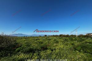 Terreno, Terrasini.