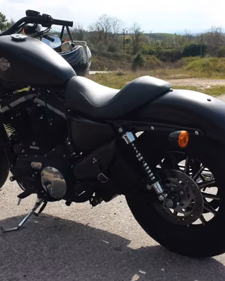 Harley-Davidson Iron 883 XL883N