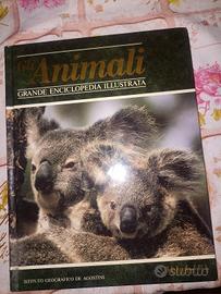 Grande enciclopedia 