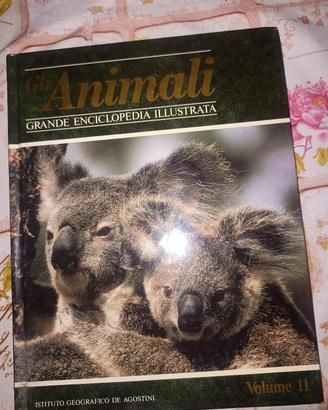 Grande enciclopedia 
