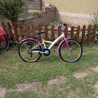 bicicletta saltafossi