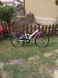 bicicletta saltafossi