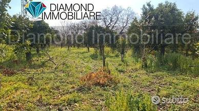 TERRENO AGRICOLO 3.460 mq A GIARRE