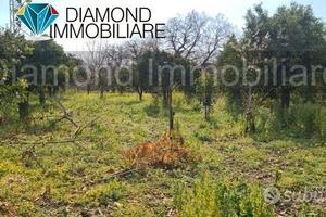TERRENO AGRICOLO 3.460 mq A GIARRE
