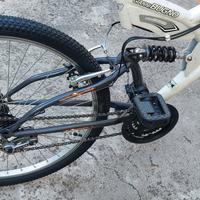bici mtb gianni bugno con ruote nuove