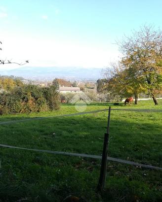 TER. AGRICOLO A MONTE COMPATRI