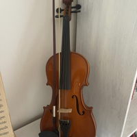 Violino