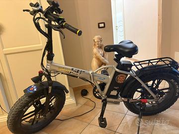 Bicicletta elettrica