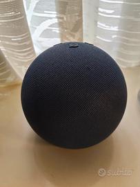 Echo dot amazon alexa 