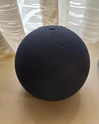 Echo dot amazon alexa 