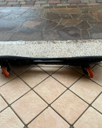Skateboard due ruote