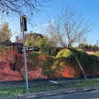 RGE 245/2024 Tribunale Verona