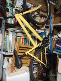 Bicicletta da passeggio 