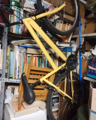 Bicicletta da passeggio 