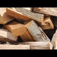 Legna da ardere ROVERE