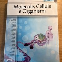 Molecole, Cellule e Organismi