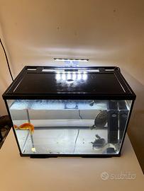 acquario da 20 litri come nuovo