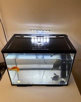 acquario da 20 litri come nuovo