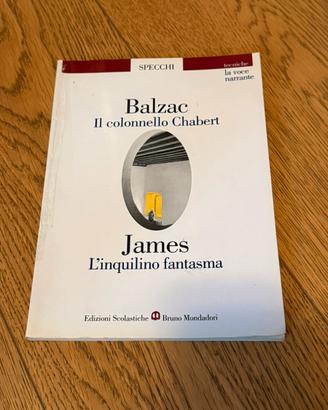 Libro di Testo Didattico - Letteratura