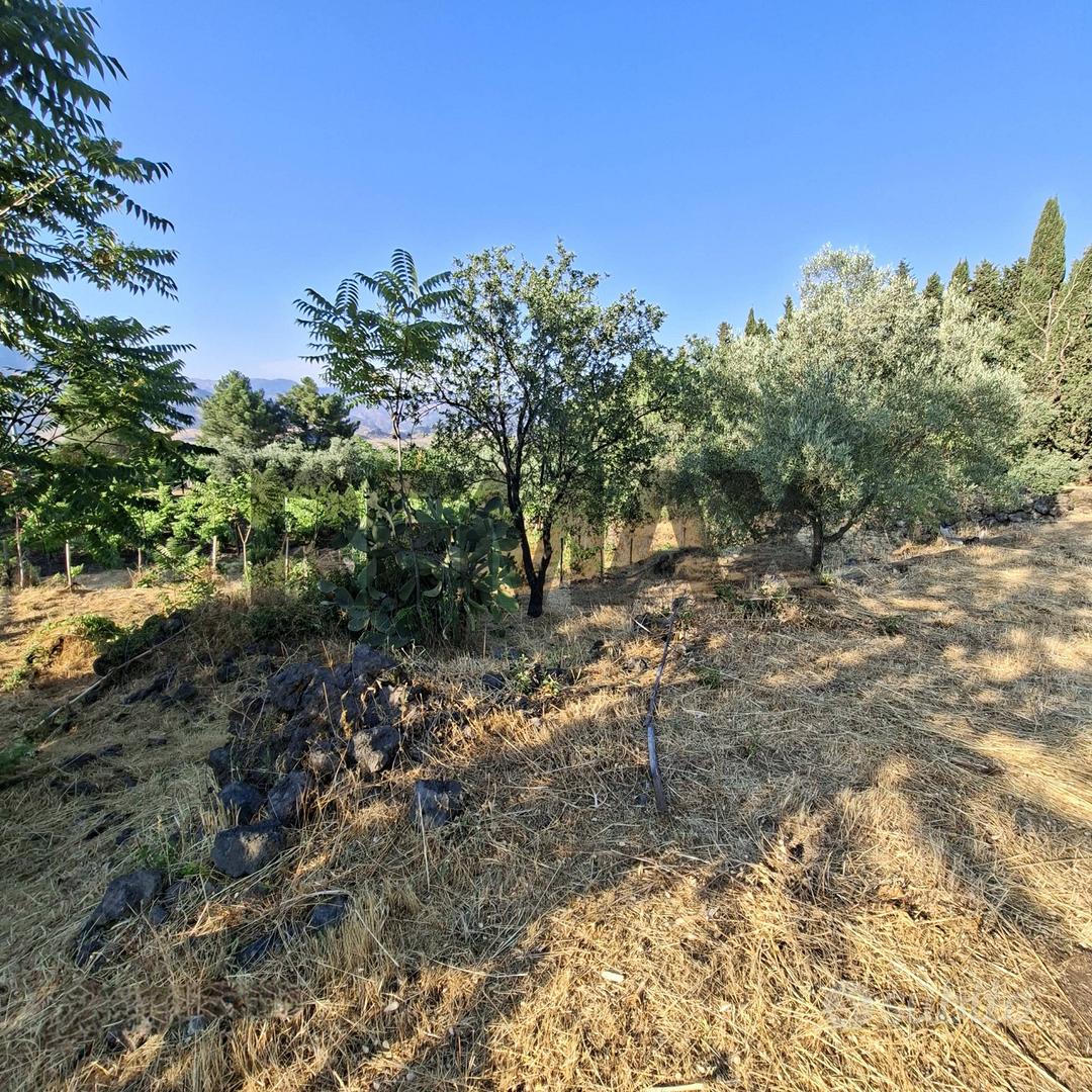 Terreno - Castiglione di Sicilia - Altro