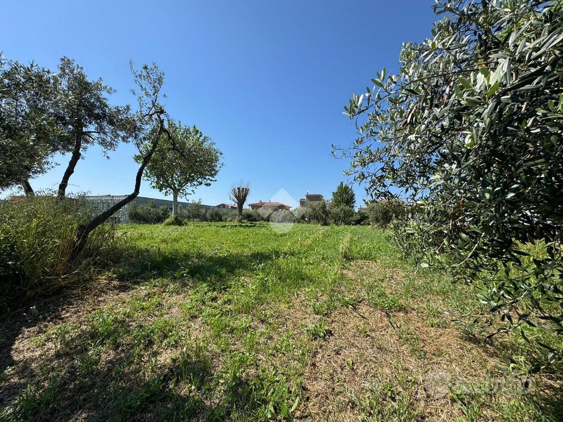 TERRENO A ALBANO LAZIALE - Vista 3