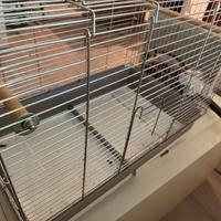 Gabbia per animali