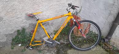 telaio MTB 