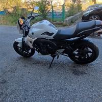 Yamaha fz6 