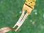 Immagine 6