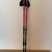 Bastoncini nordic walking Fizan Bastoncini Speed S