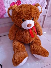Orso gigante