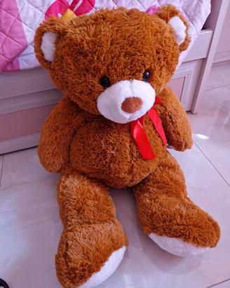 Orso gigante