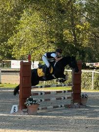 Pony femmina del 2015, cat. 110