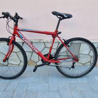 mountain bike