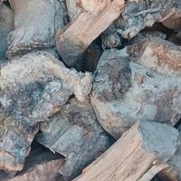 LEGNA SECCA DI MELO CIOCCHE