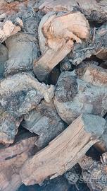 LEGNA SECCA DI MELO CIOCCHE