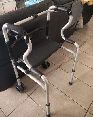 Carrello deambulatore