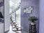Immagine 12