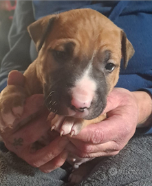 Fine marzo inizio aprile