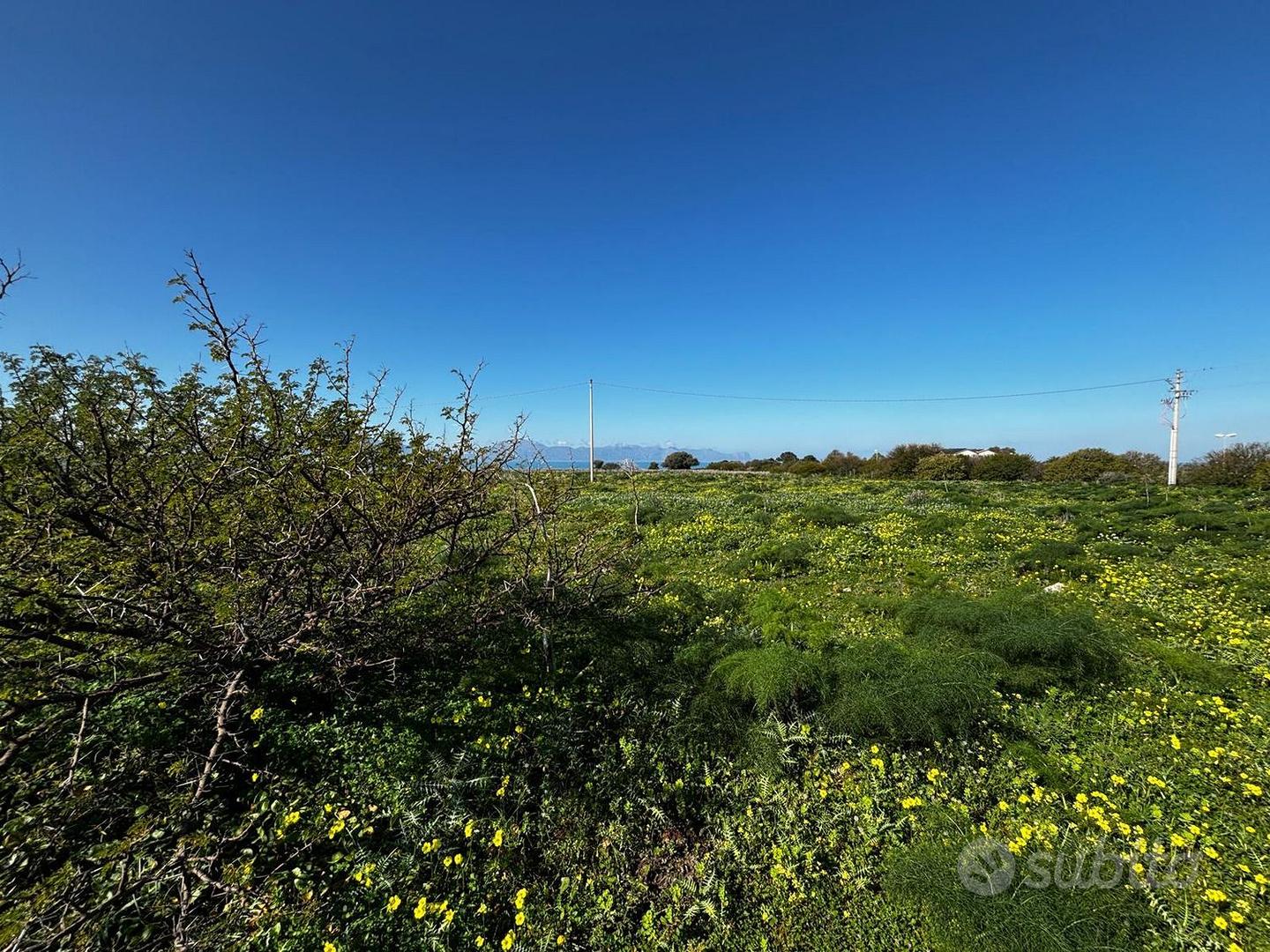 Terreno, Terrasini. - Vista 4