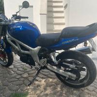 Suzuki SV 650 SPLENDIDA