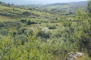 TER. AGRICOLO A CASTROLIBERO