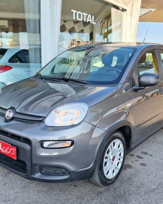 FIAT Panda 1.0 FireFly S&S Hybrid OK NEO PATENTA
