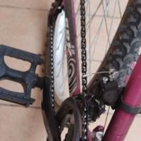 Bicicletta Mountain bike donna