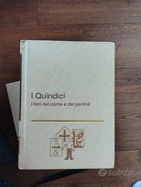 enciclopedia per bambini I Quindici 